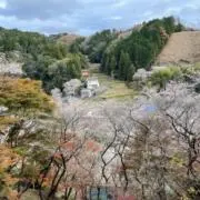Chikatokkiiの画像