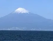 noaの画像