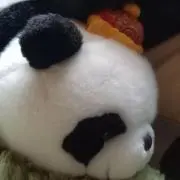 ねずどんの画像