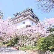 happyの画像