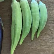 おきゅらの画像