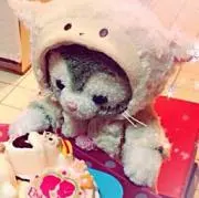 wanko.love