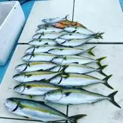 名無しanglerの画像