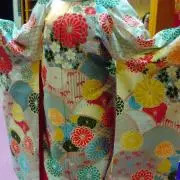ゆりかもめの画像
