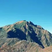 SATの画像