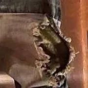 ヨコ