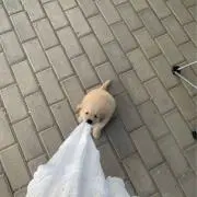 myの画像
