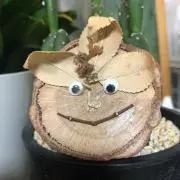 トモの画像