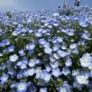 4548d7efの画像