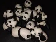 熊猫の画像
