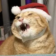 ちくわの画像