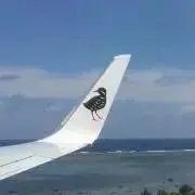 たっこ。