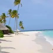 Seasideの画像