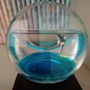 cajikrの画像