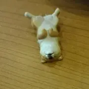 れんこん