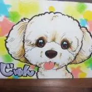 ナオナオの画像