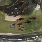 即購入❌☆プロフ必読