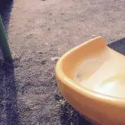 めたも
