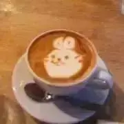 Viola.lalaの画像