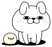 うさぎの画像