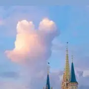 ピーコ