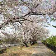 aya~kiiの画像