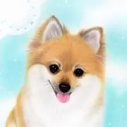 ぷぅちゃん