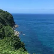 ヒゲの画像