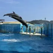 kaky33の画像