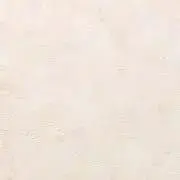 鯵の画像