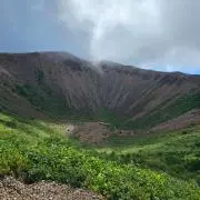 ちゃの画像