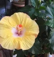 fumi☆の画像