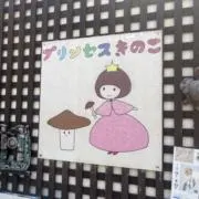 K   ai   M