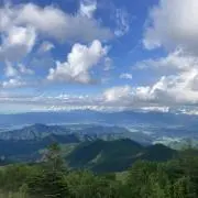 Image of グラタン