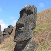 まめちの画像