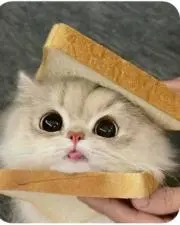 らふぁえる