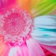 8/1〜8/15まで発送中止☺︎k's_の画像