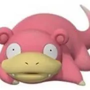 頂点眼