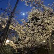 桐生の画像