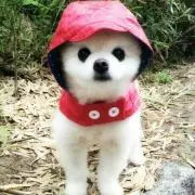 まみ
