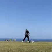 キャロルの画像