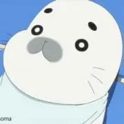 kokkoの画像