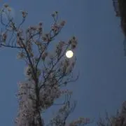 りよ♪　簡易包装ですの画像