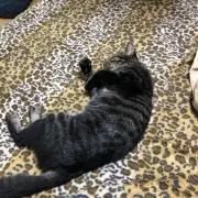 う〜！