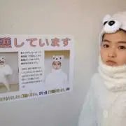 のぎの画像