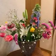 おゆきの画像