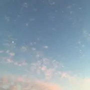 プロフ必読
