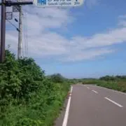 よもぎもちの画像