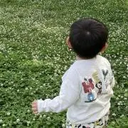snの画像