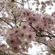 あかりん☆☆